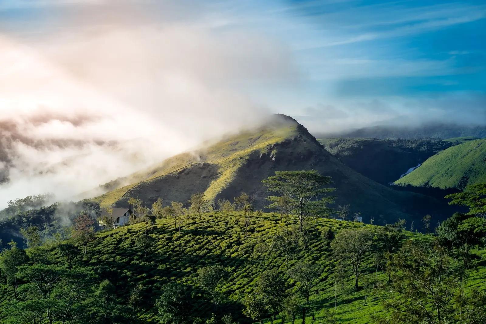 Misty hills, Vagamon