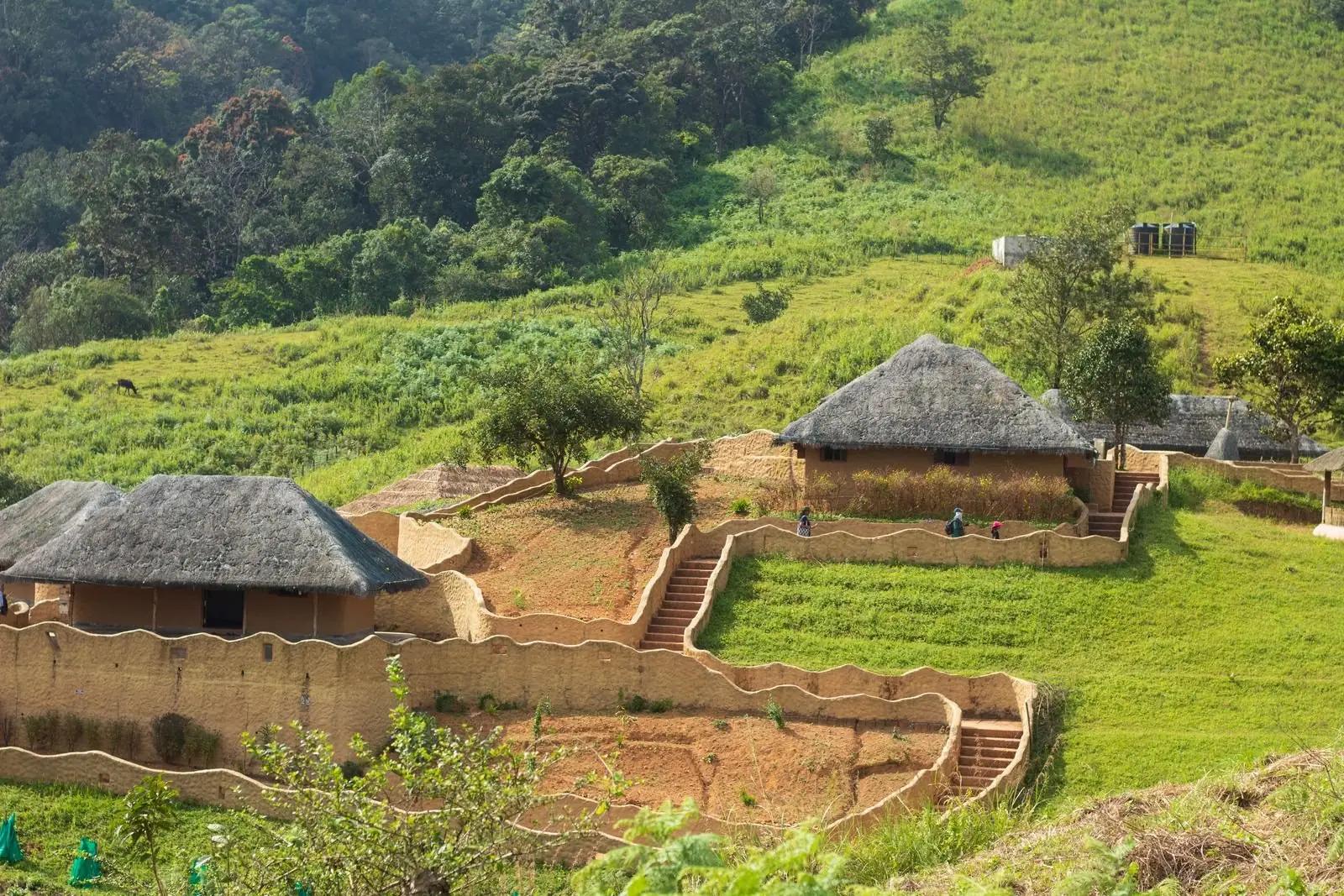 Hills of Wayanad