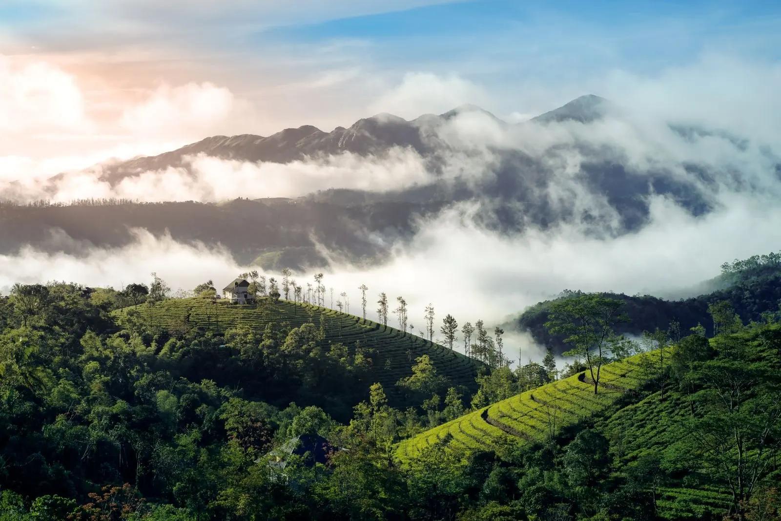 Clouds over the Western Ghats, Vagamon