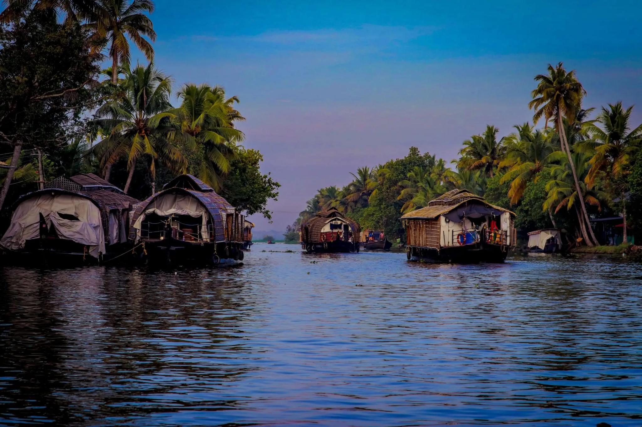 Houseboats on palm-lined backwaters, Alappuzha